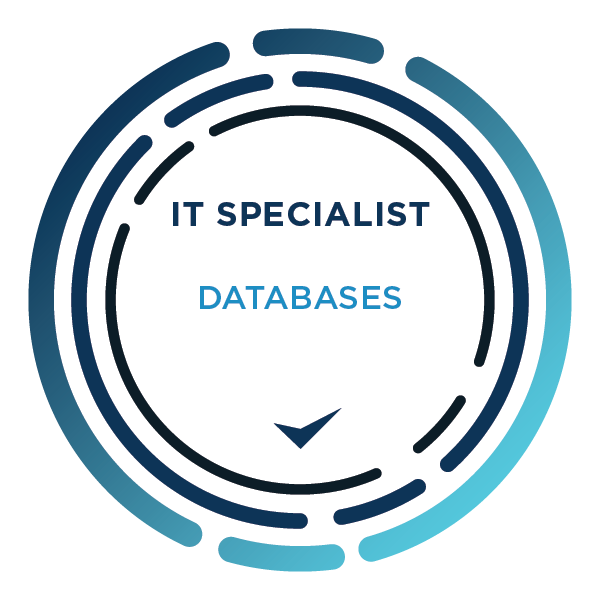 ITS Data Analytics Specialist